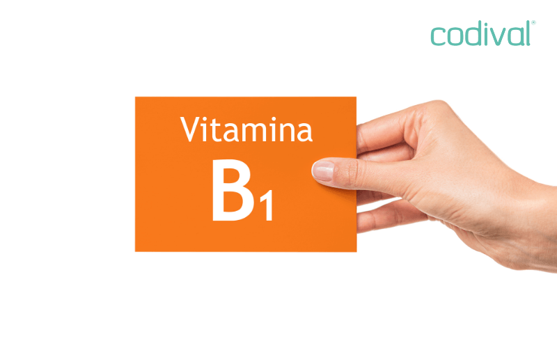 funciones vitamina b